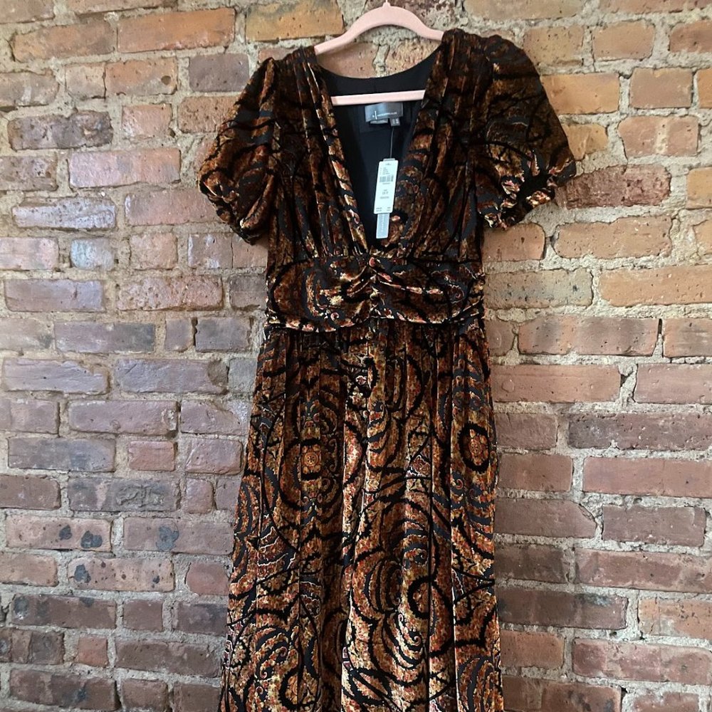 Anthropologie Burnout Velvet Dress Size 10 P